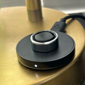 Oura Ring Gen 3 Heritage Silver and Black interior